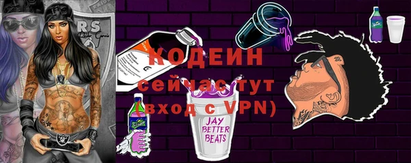 хмурый Покачи